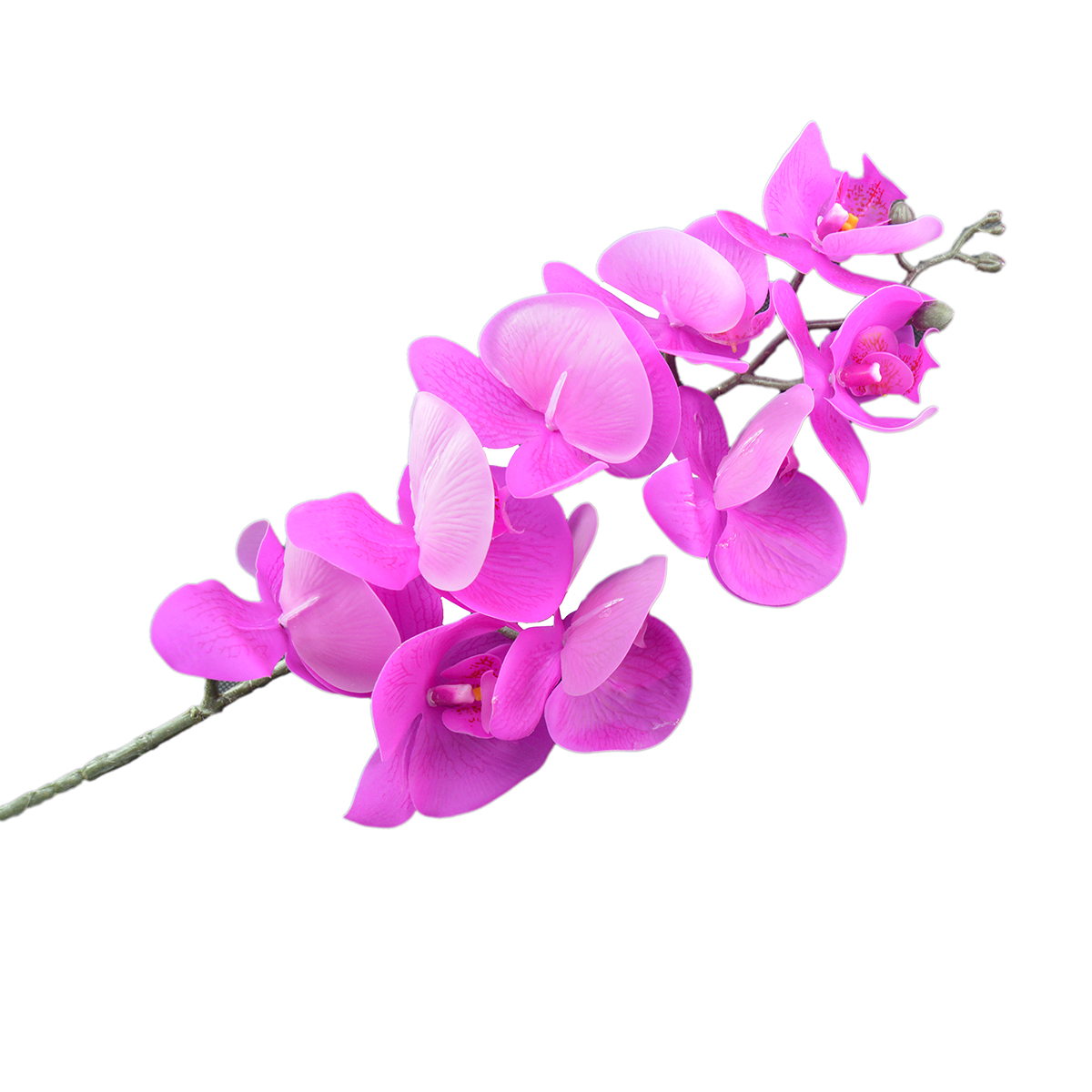 Orhidee Fir Realtouch Siclam C21-103 AFO