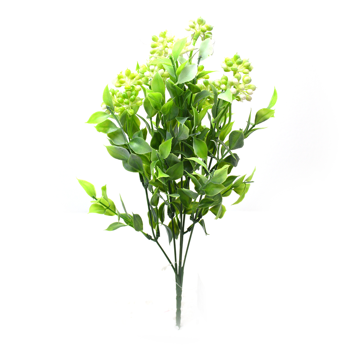 Flori buchet Kalanchoe mare verde cu alb afo