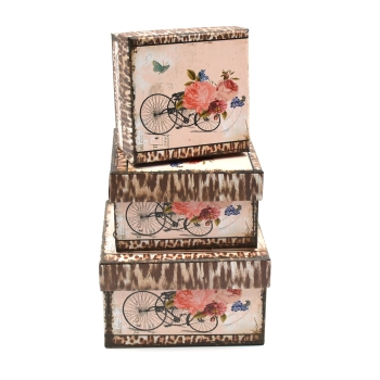 Set 3 cutii mici patrate vintage tricicleta bujor AFO