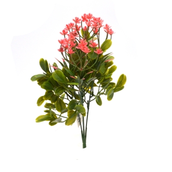 Buchetel buxus cu flori corai
