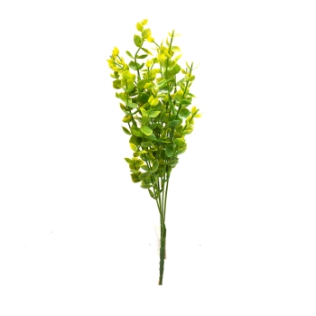 Buchet fir Buxus verde cu galben