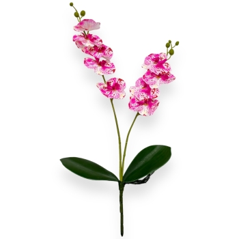 Fir orhidee dublu Karin Aloha alb siclam
