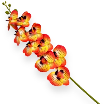 Fir orhidee siliconata Dendrobium galben portocaliu