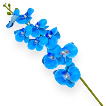 Fir orhidee siliconata Luxury blue sky