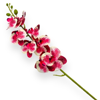Fir orhidee siliconata Luxury crem rosu
