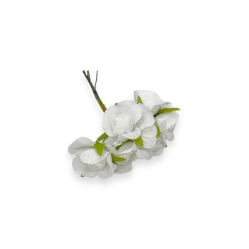 Set 60buc mini trandafiri wild alb