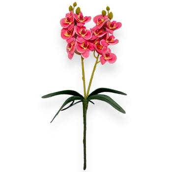Fir mini orhidee dubla Roze cu Galben