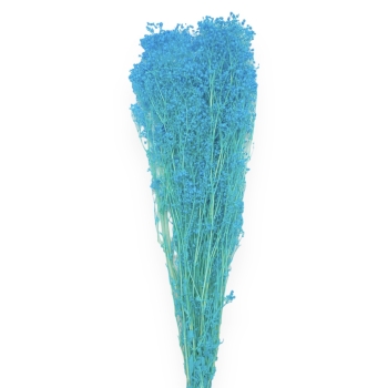 Buchet Broom Bloom Uscat 80g - Azure