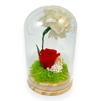 Cupola Aranjament Floral Trandafir si Hortensie Criogenata