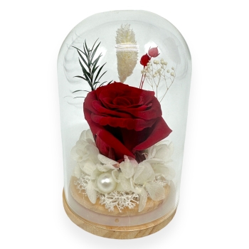 Cupola Aranjament Trandafir si Hortensie Criogenate