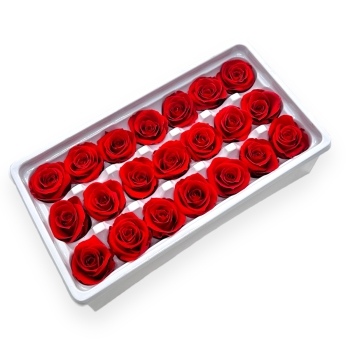 Set 21 Trandafiri Criogenati 3cm - Rosu Deschis