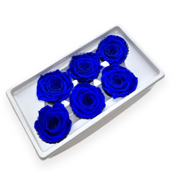 Set 6 Trandafiri Criogenati 5-6cm - Albastru Royal