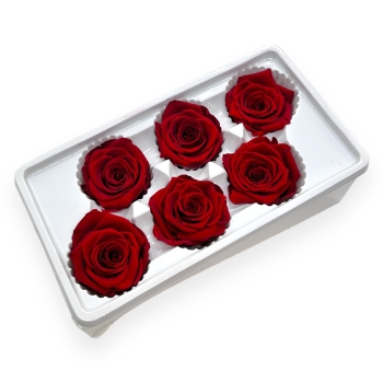 Set 6 Trandafiri Criogenati 5-6cm - Rosu Inchis