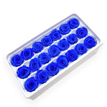 Set 21 Trandafiri Criogenati 3cm - Albastru