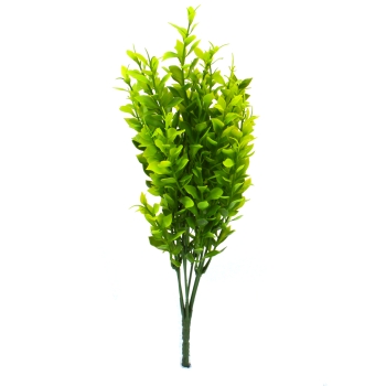 Buchet Buxus Verde