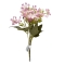 Flori Buchet Gypsophila Repens Rosea roz AFO