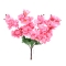 Flori Crenguta cires roz
