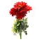 Buchet crizantema cu gerbera rosu