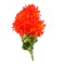 Buchet crizantema wild orange