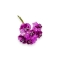 Set 72 buc mini crizanteme cu pistil, lila marsalla