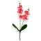 Fir orhidee dublu Karin Aloha roze