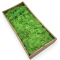 Licheni Natural Premium Curatat 500g - Verde Spring