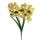 Buchet 2 Fire Orhidee Cymbidium cu Frunze Verde cu Marsalla