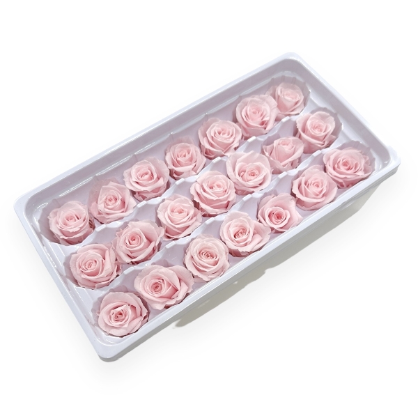 Set 21 Trandafiri Criogenati 3cm - Roz Pal
