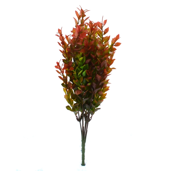 Buchet Buxus Verde cu Rosu