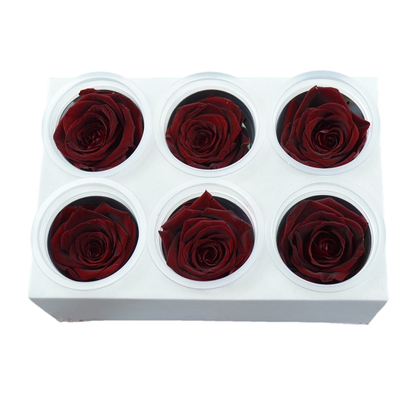 Set 6 Trandafiri Criogenati - Rosu Inchis