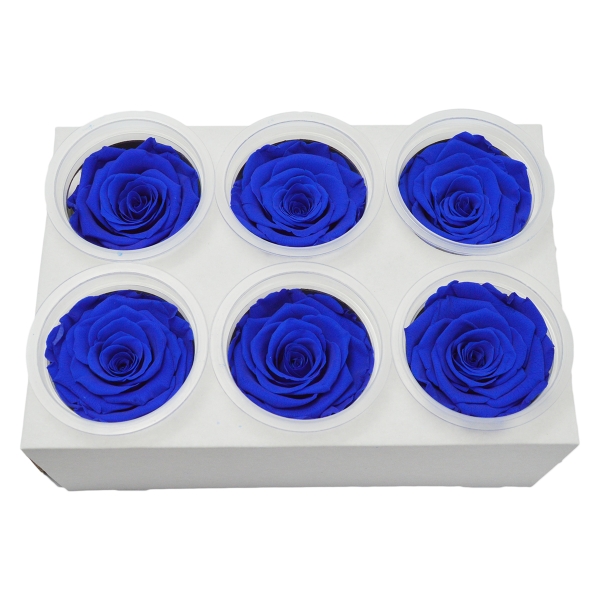 Set 6 Trandafiri Criogenati - Albastru C21-97