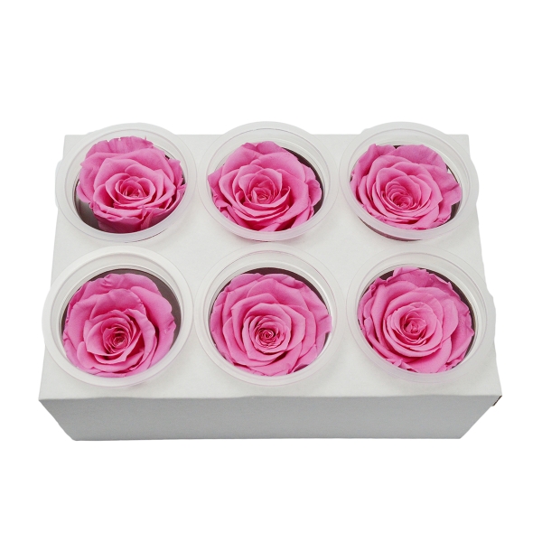 Set 6 Trandafiri Criogenati - roz C21-93